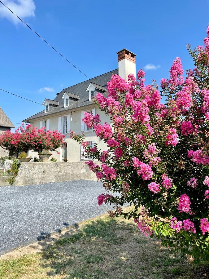 Maison De Maitre La Roseraie Avec Parc Arbore Bougarber Zewnętrze zdjęcie